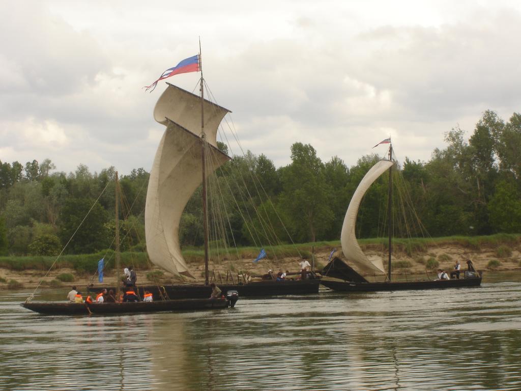 Appartamento Les Bords De Loire Veuves Camera foto