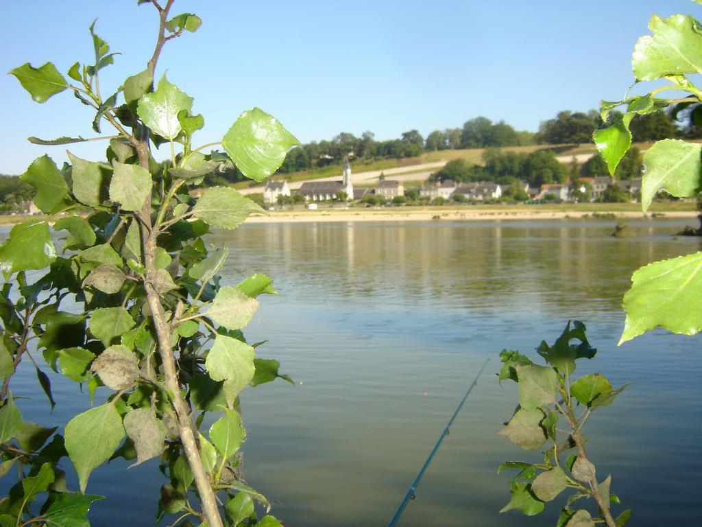Appartamento Les Bords De Loire Veuves Camera foto