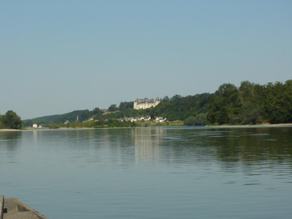 Appartamento Les Bords De Loire Veuves Camera foto