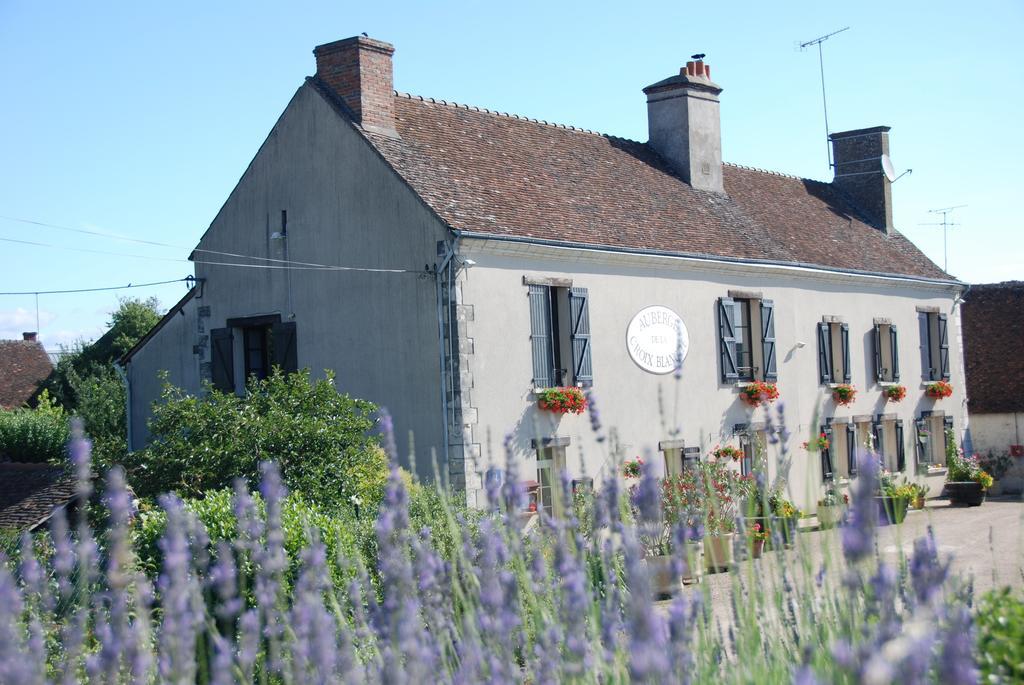 Appartamento Les Bords De Loire Veuves Camera foto